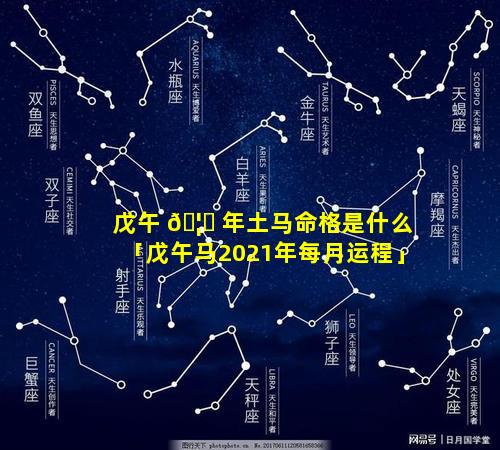 戊午 🦍 年土马命格是什么「戊午马2021年每月运程」